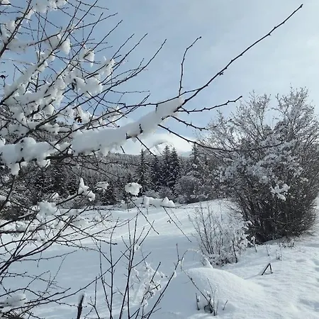 شقة Duplex 59m2 - Proche Centre - Balcon Plein Sud *